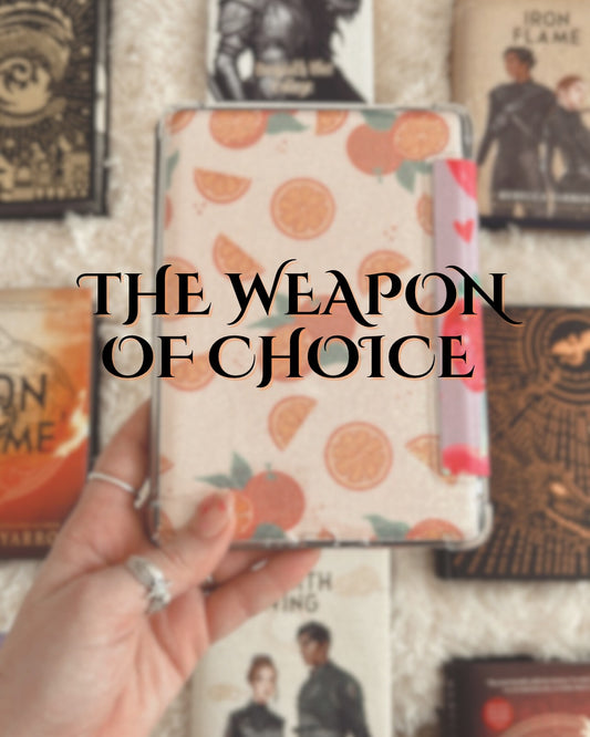 Dragon Rider Kindle Skins