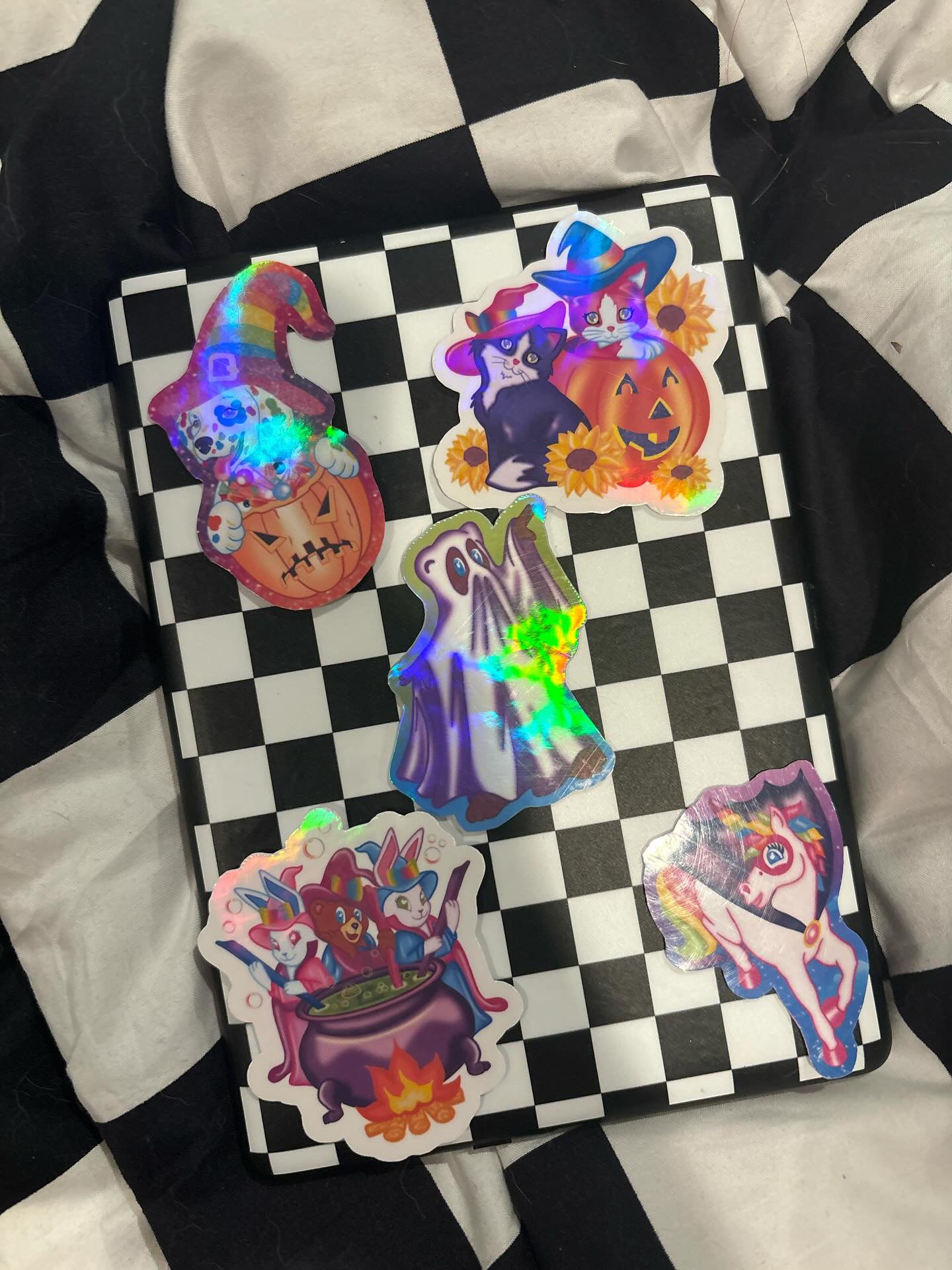 Kitten Bubbles in a Pumpkin