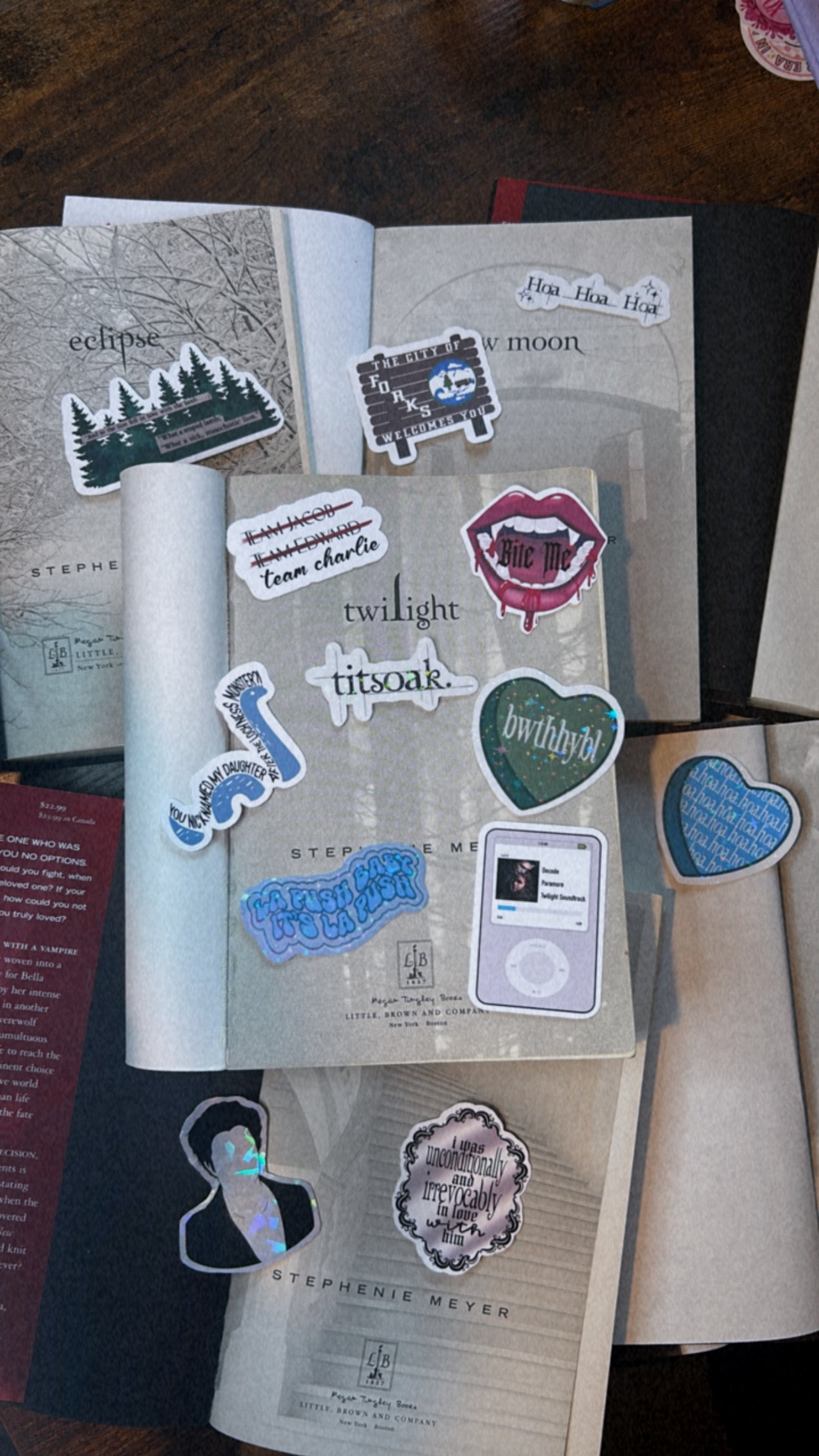 Twilight Bundle (15)