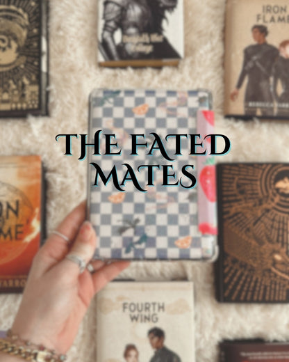 Dragon Rider Kindle Skins